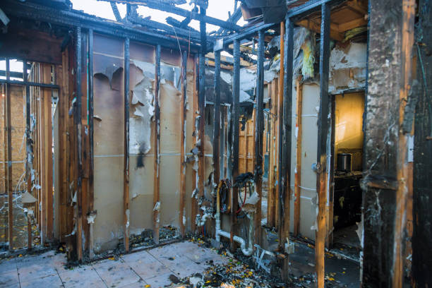 Professional Fire Damage Removal technician working in Arlington Heights, PA